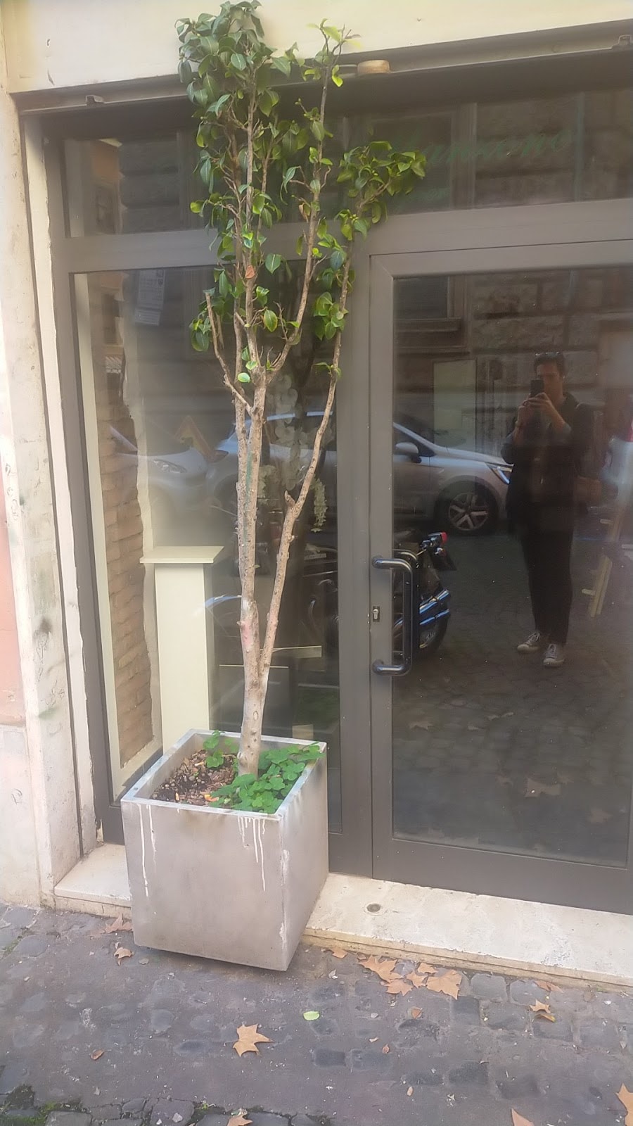 Flower Designer Augusto Manzone Roma — wedding florist in Rome