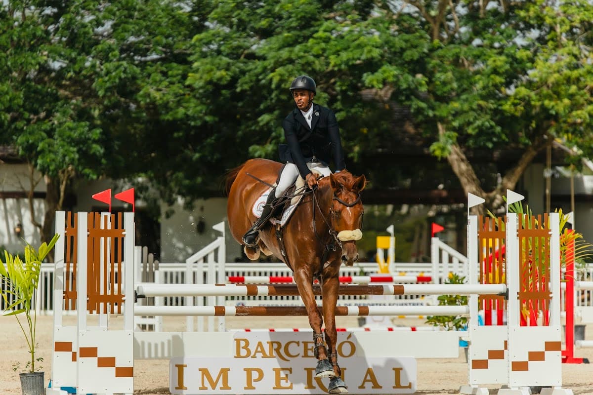 Luis Laracuente Films — wedding videographer in Punta Cana