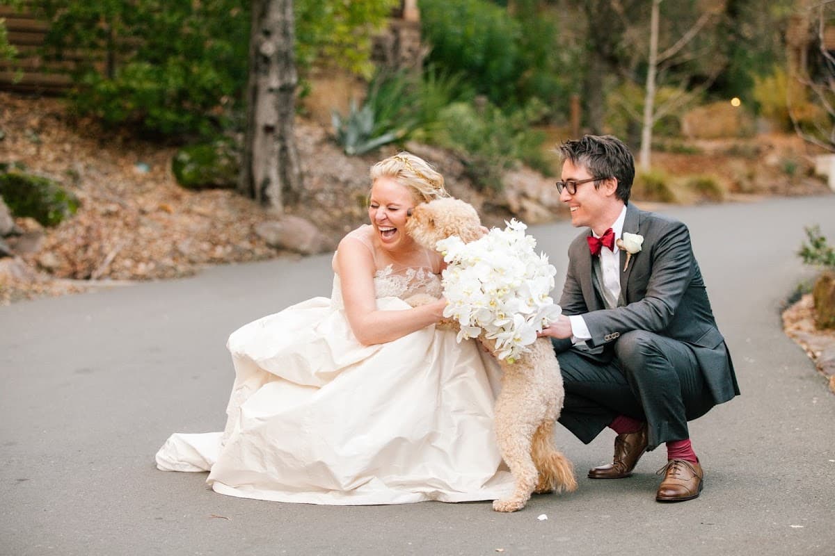 Michelle Walker Photography — wedding photographer in Napa