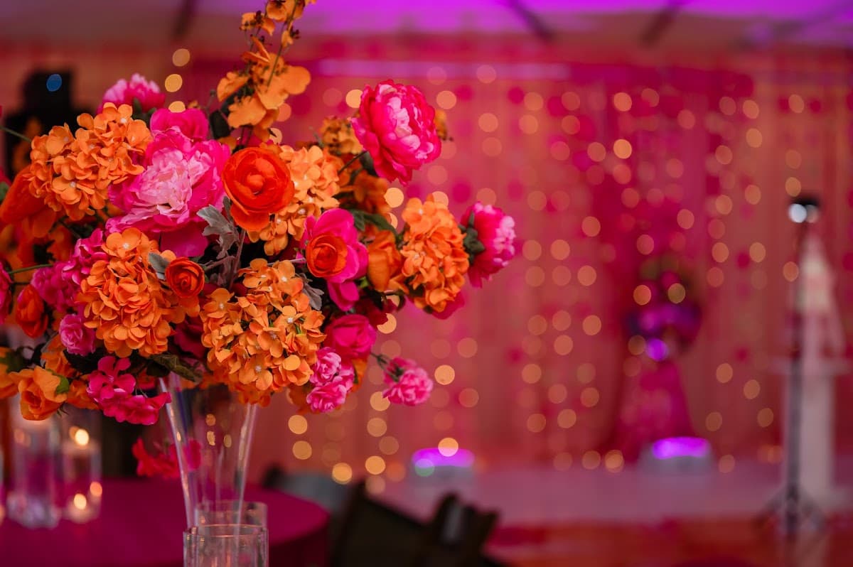 MSJ Event- Indian wedding planner and decorator — wedding planner in Austin