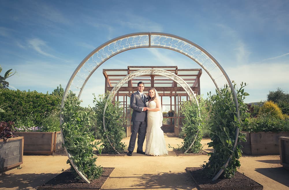 Niki Photography — wedding photographer in Napa