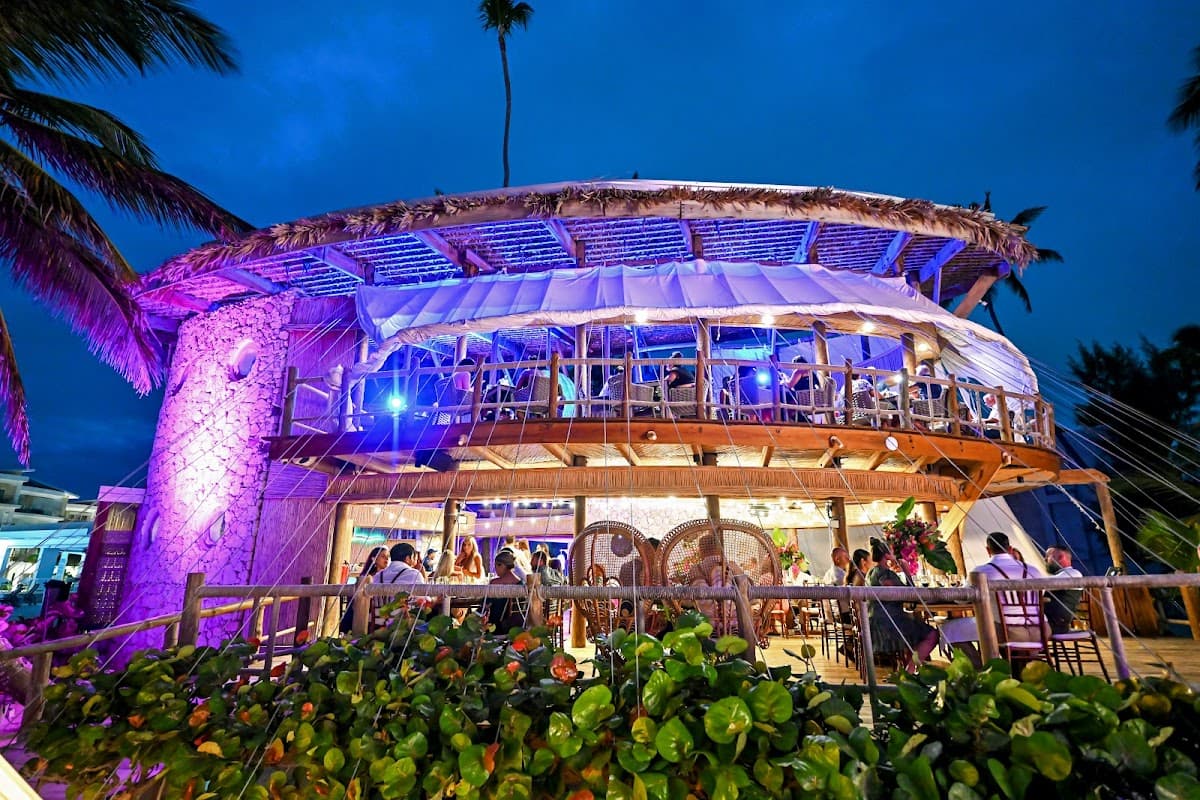 Photo Cine Art- Punta Cana Wedding Photographer and Videographer — wedding videographer in Punta Cana