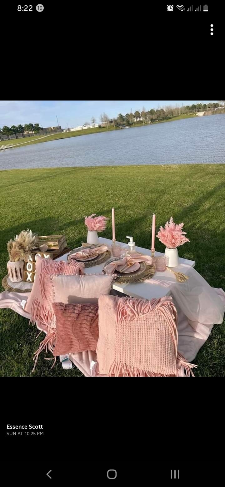 Picnics and Promises Ja — wedding planner in Jamaica