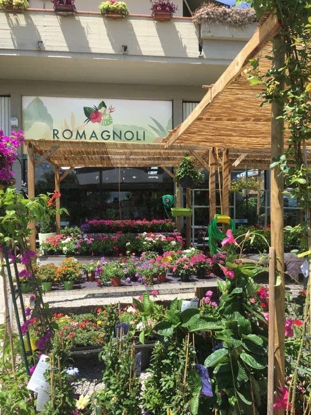 Romagnoli Eventi — wedding florist in Florence