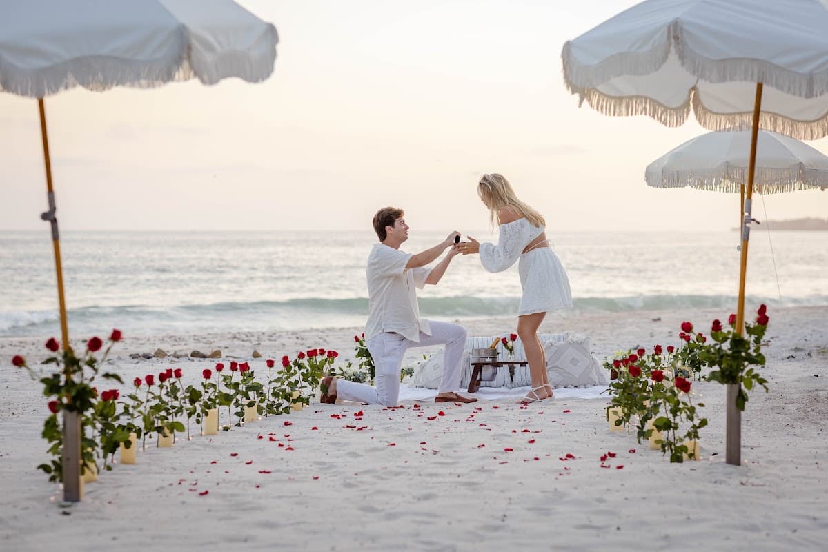 The Picnic Company, wedding planner in Puerto Vallarta