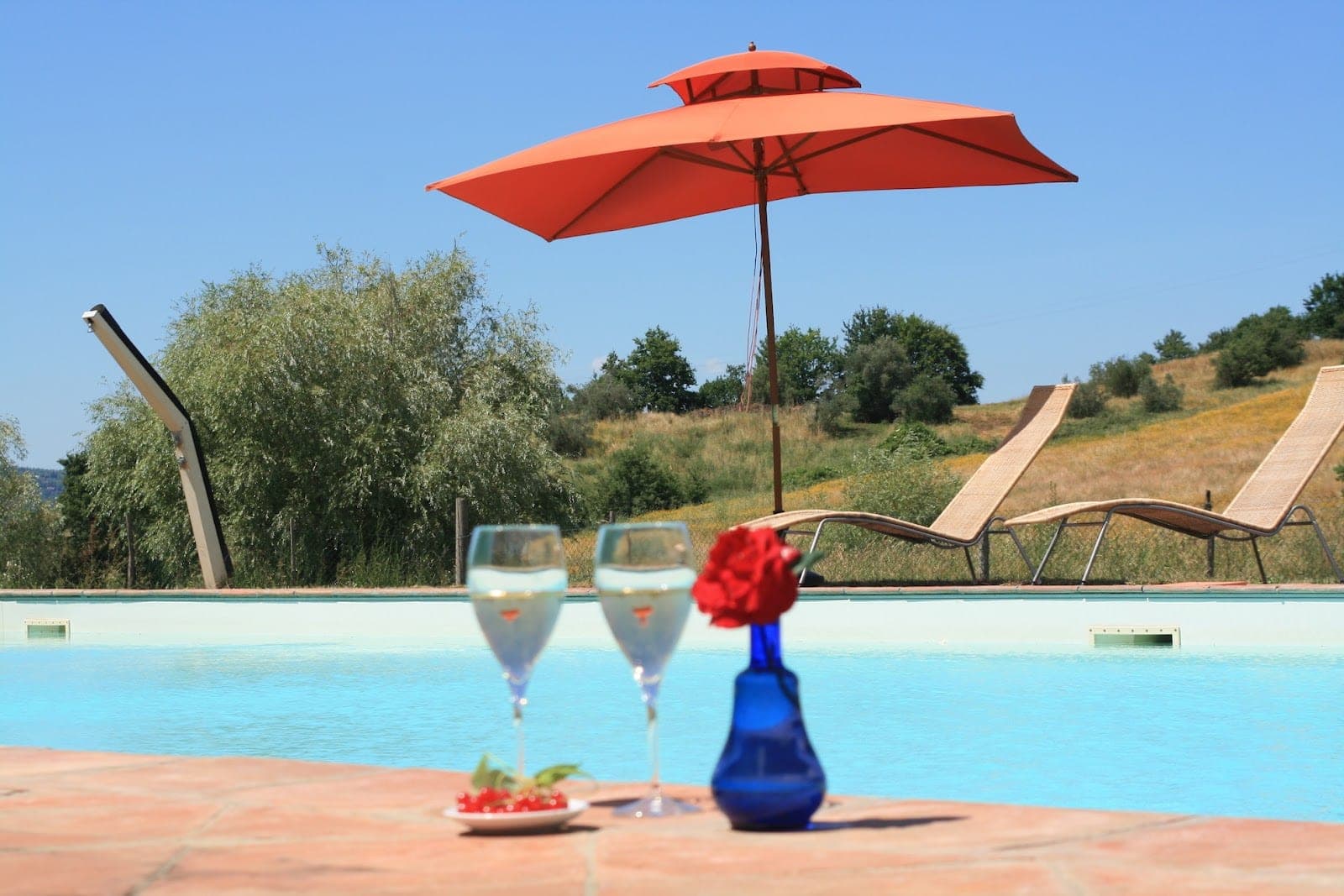 Two glasses of white wine and a small plate of berries by a swimming pool.