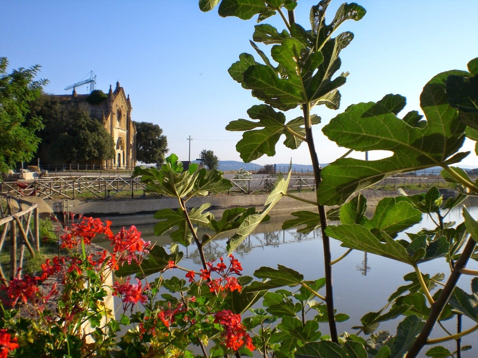 A building with a crane on top is seen across a body of water, with plants in the foreground.