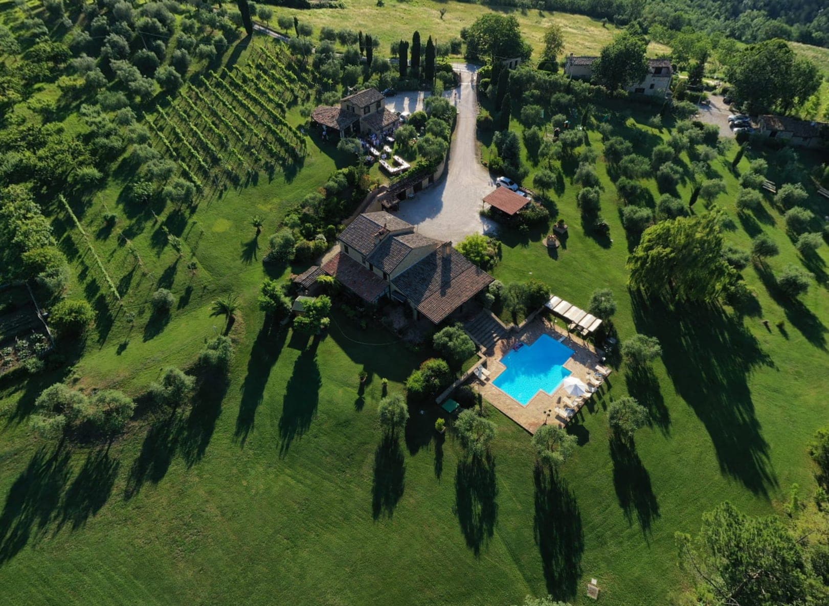 Aerial view of Agriturismo Tre Querce with vineyards, pool, and buildings.