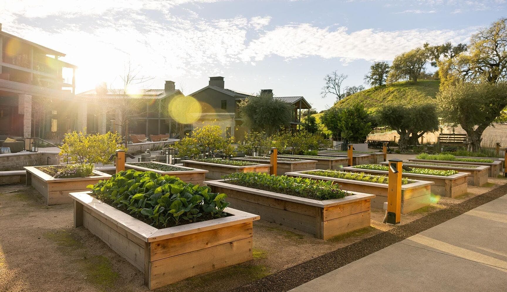 Raised garden beds in front of a building and a grassy hill.