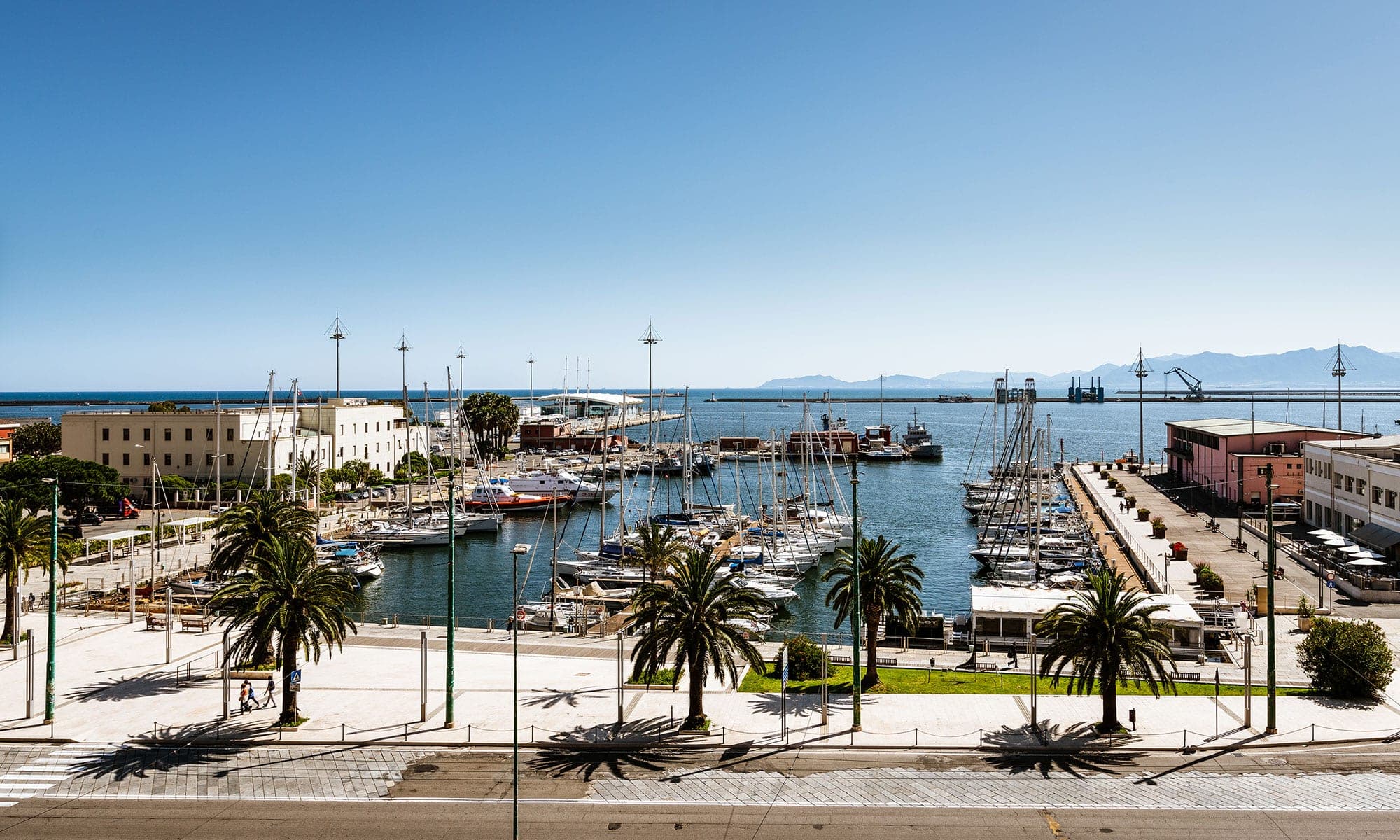 A marina with boats docked and palm trees in the foreground under a clear blue sky.