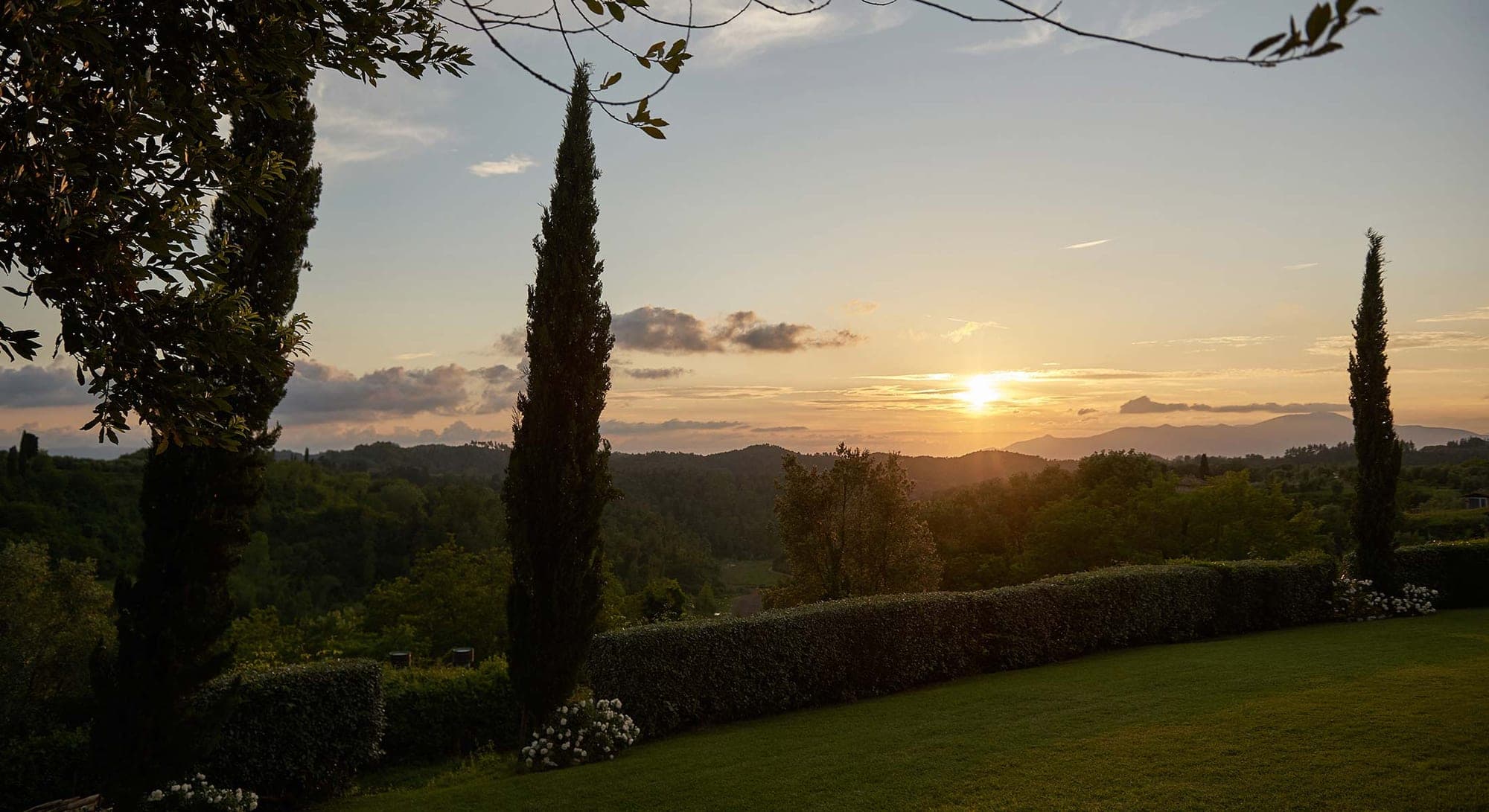 Sunset over rolling hills with cypress trees and manicured lawn.