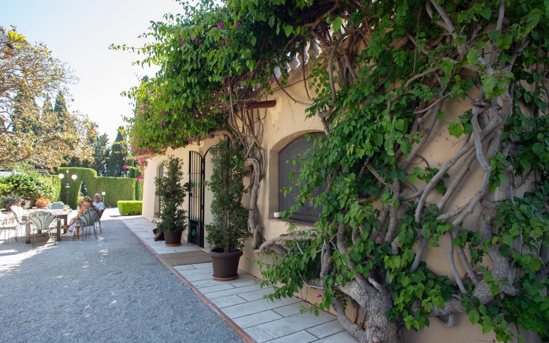 Outdoor seating area with tables and chairs next to a building covered in vines.
