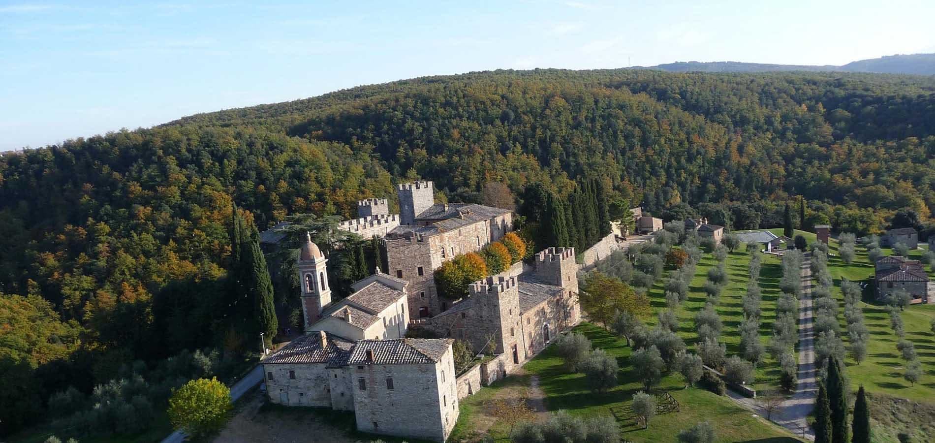 Aerial view of a stone castle surrounded by trees and olive groves under a clear blue sky.