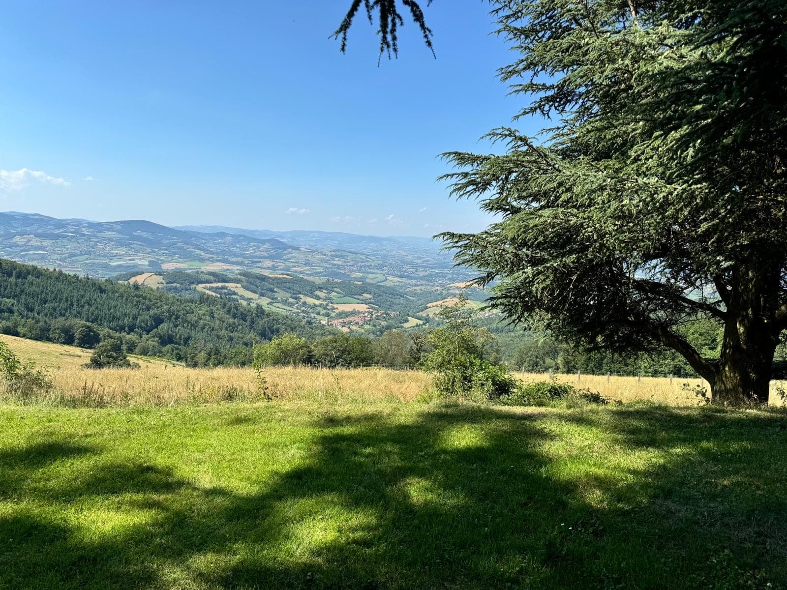 A wide view of rolling hills and a valley under a clear blue sky, with a large tree in the foreground.
