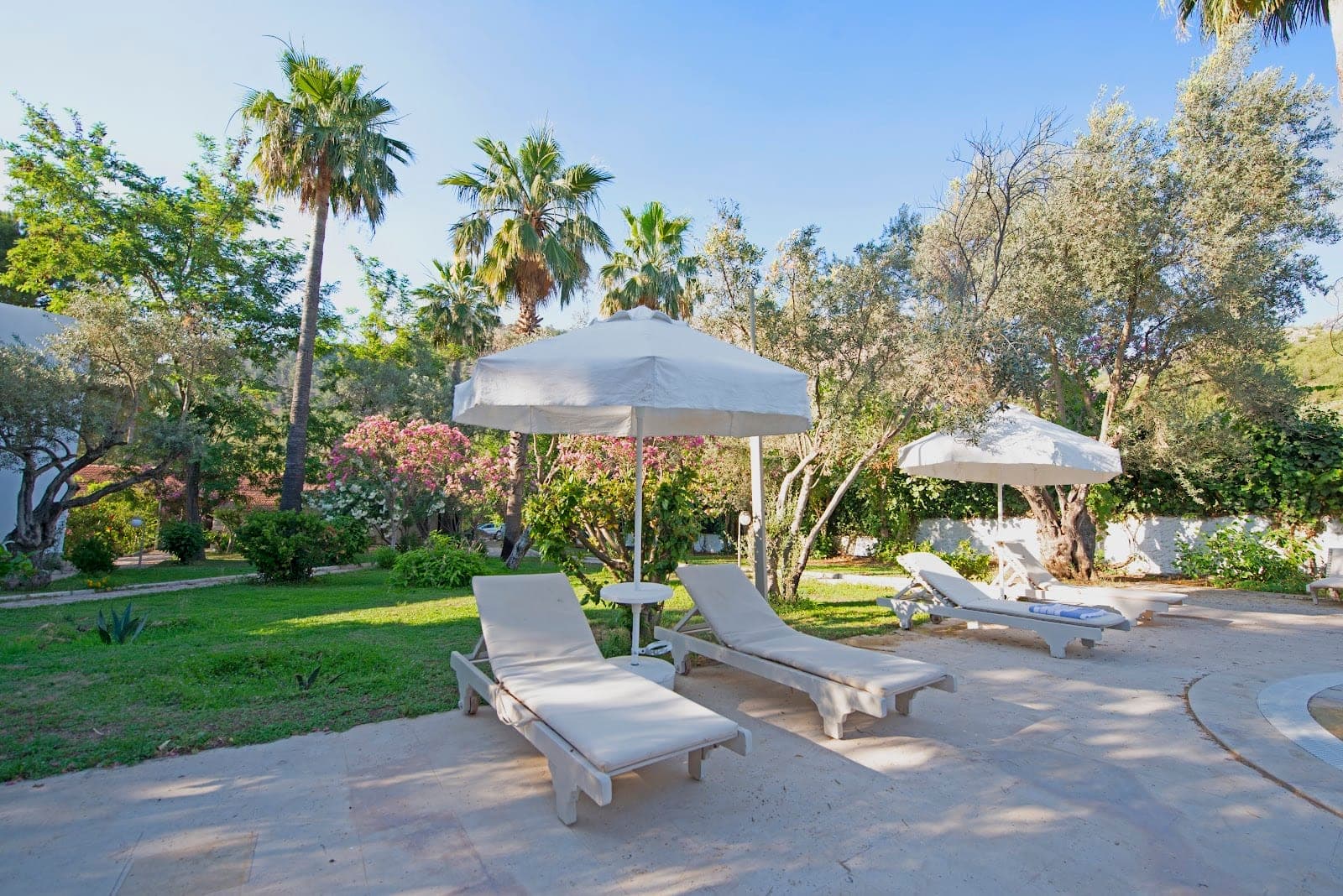 Lounge chairs and umbrellas in a sunny garden with palm trees.