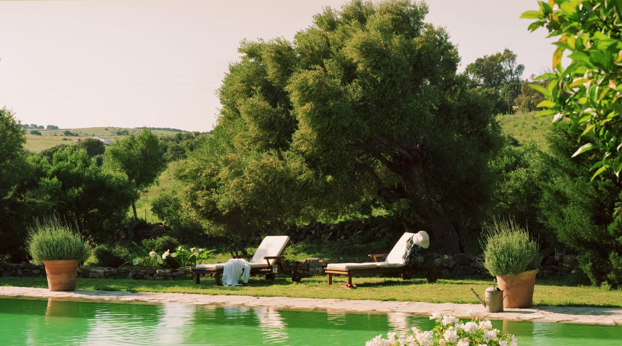 A swimming pool with lounge chairs and potted plants in a garden.