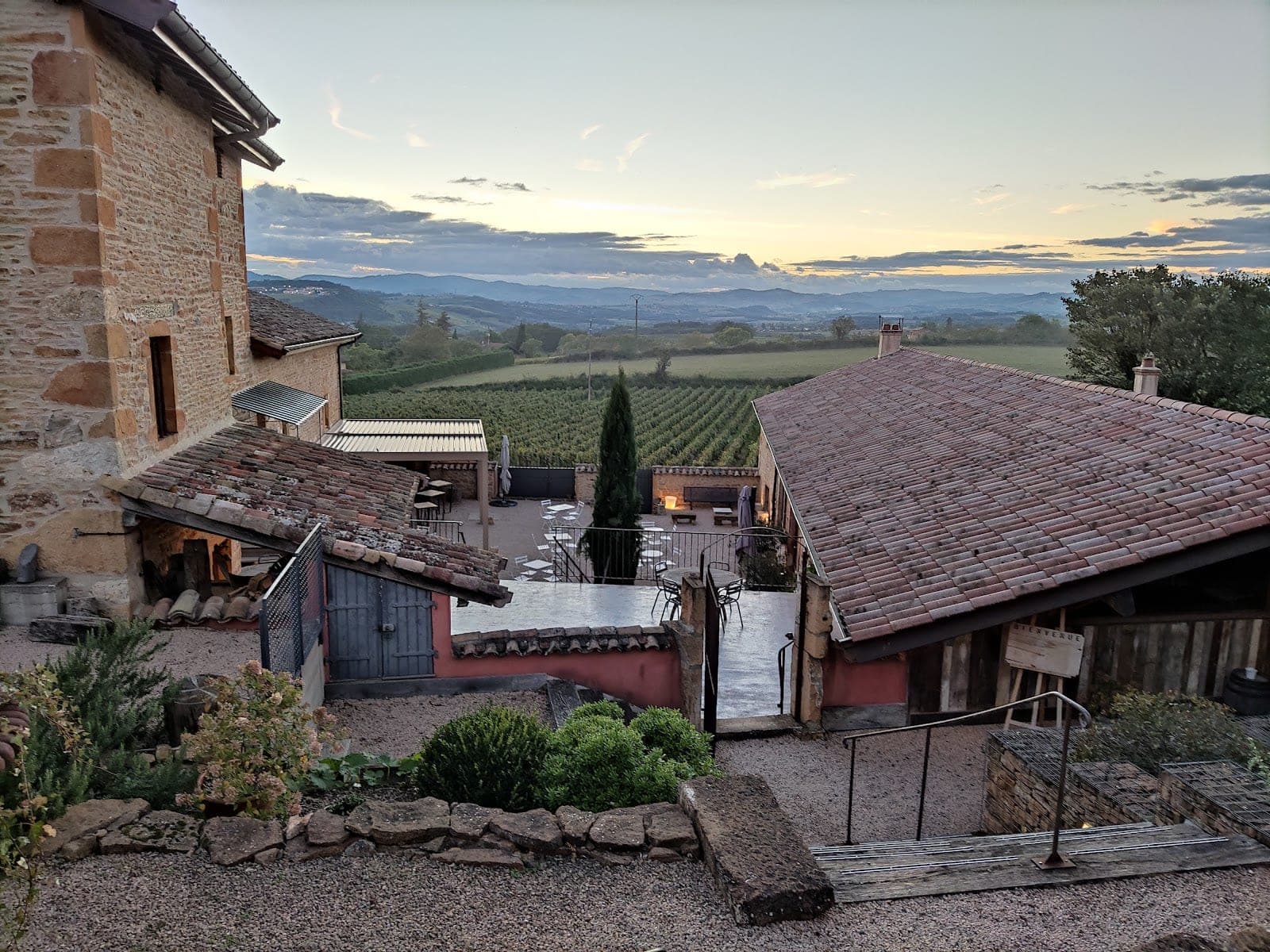 View of vineyards and buildings at dusk from a terrace.