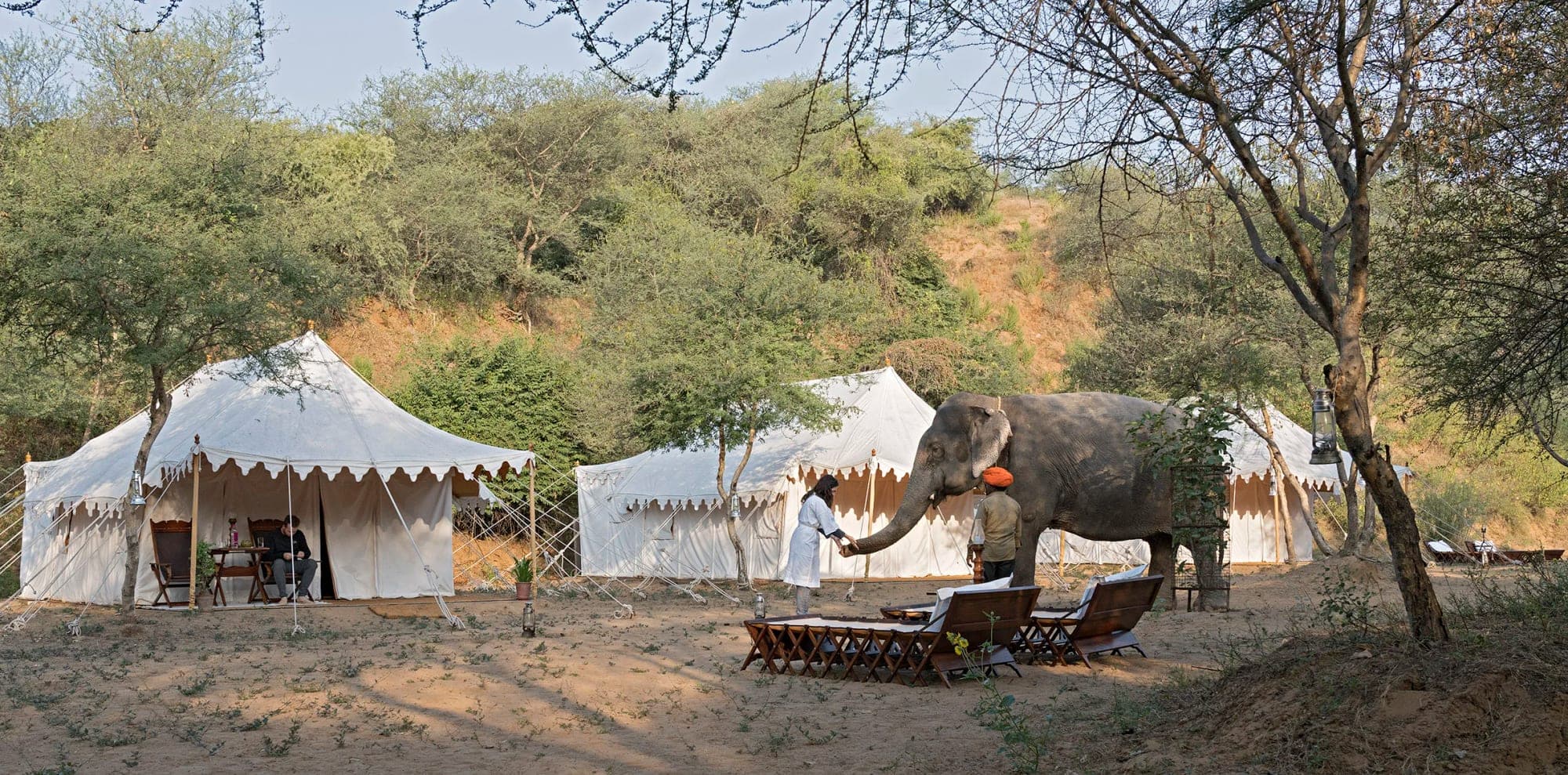 Safari tents and an elephant in a desert landscape