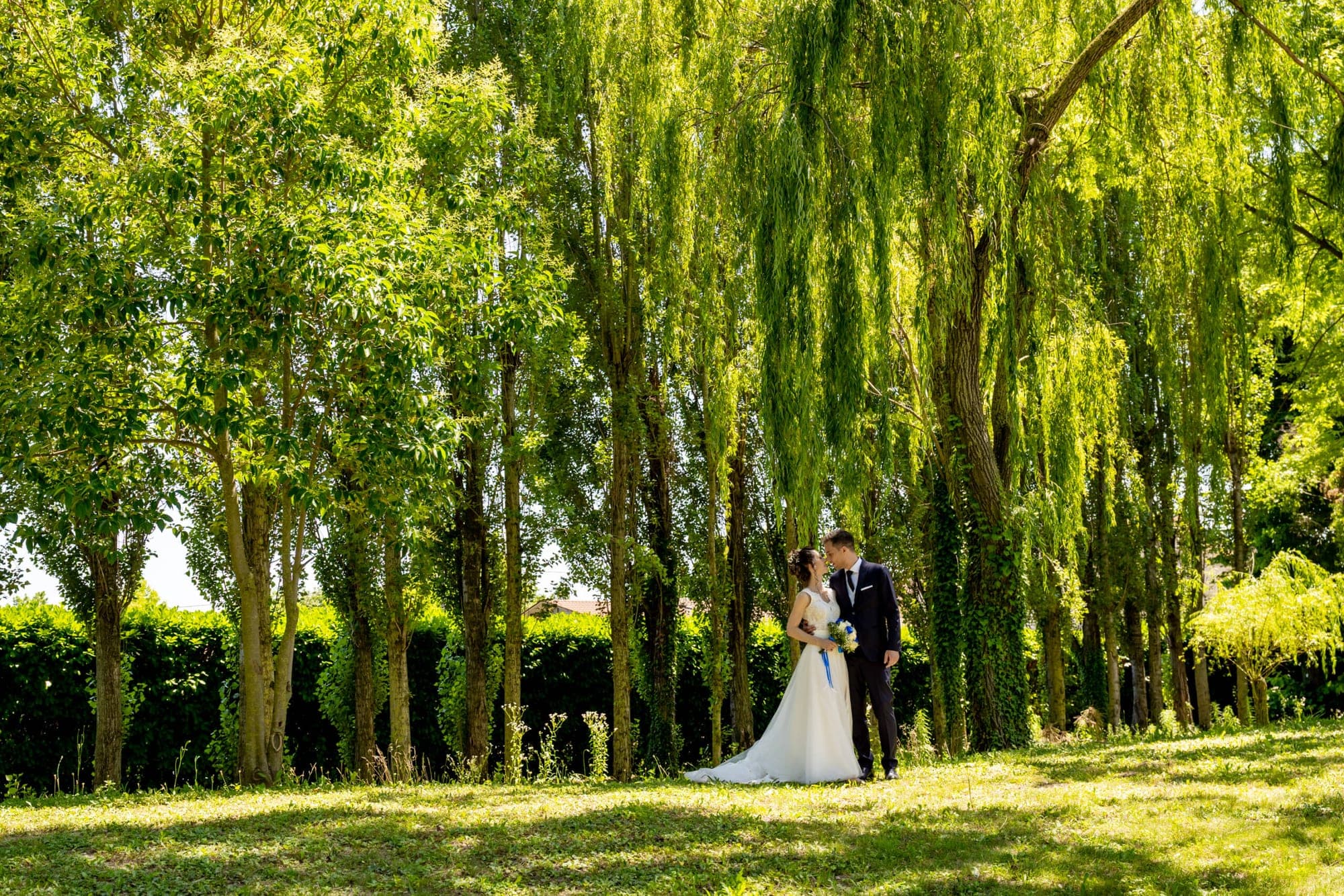 A bride and groom kiss in a garden with weeping willow trees.