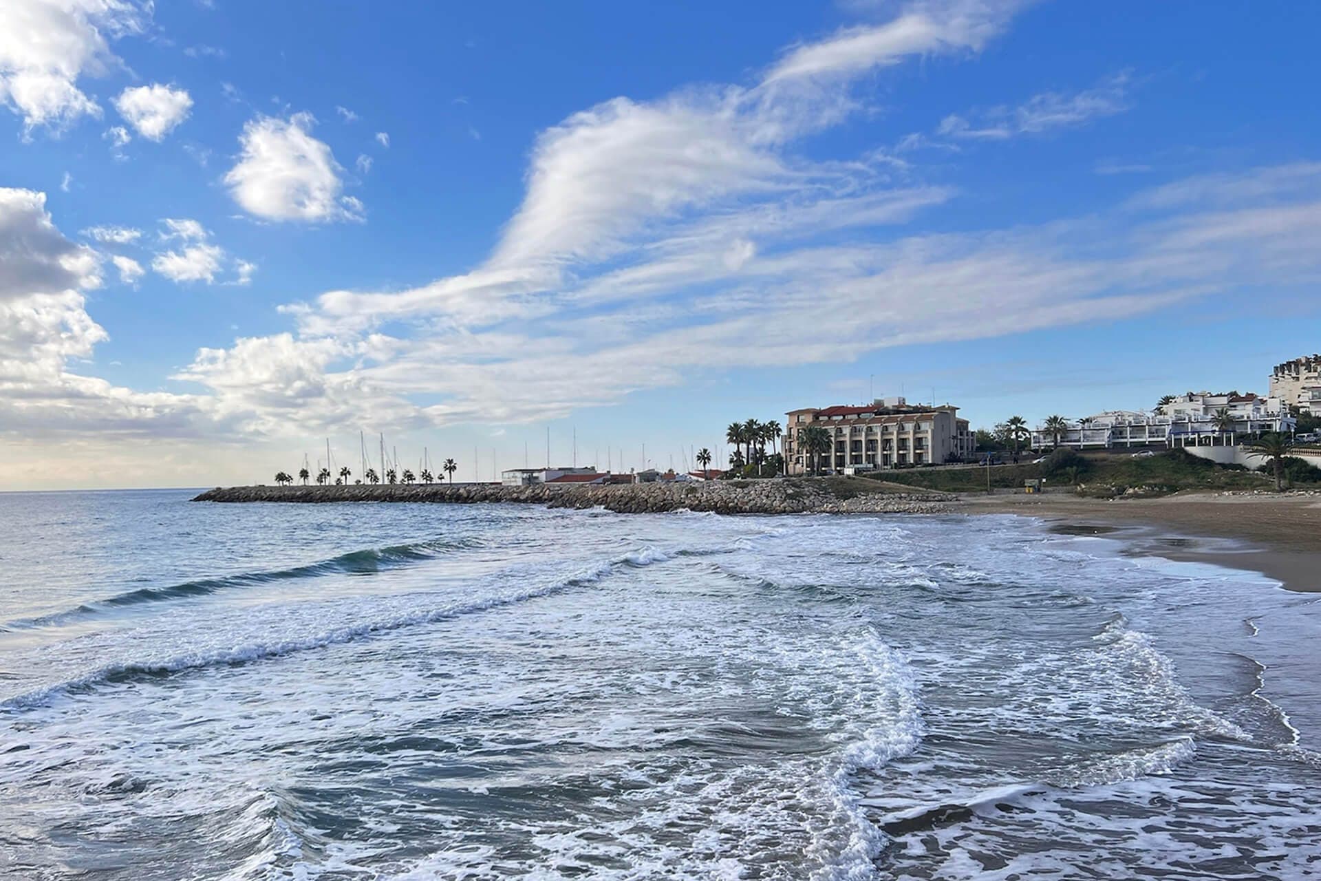 A view of the sea and beach with buildings and palm trees in the background.