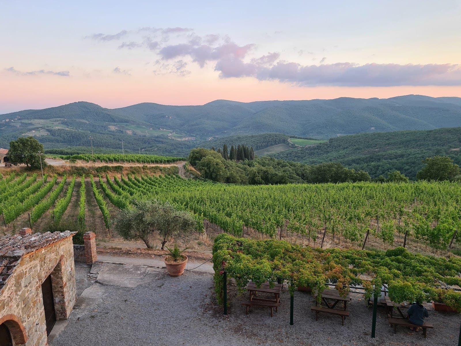 Vineyards and rolling hills in Tuscany at sunset