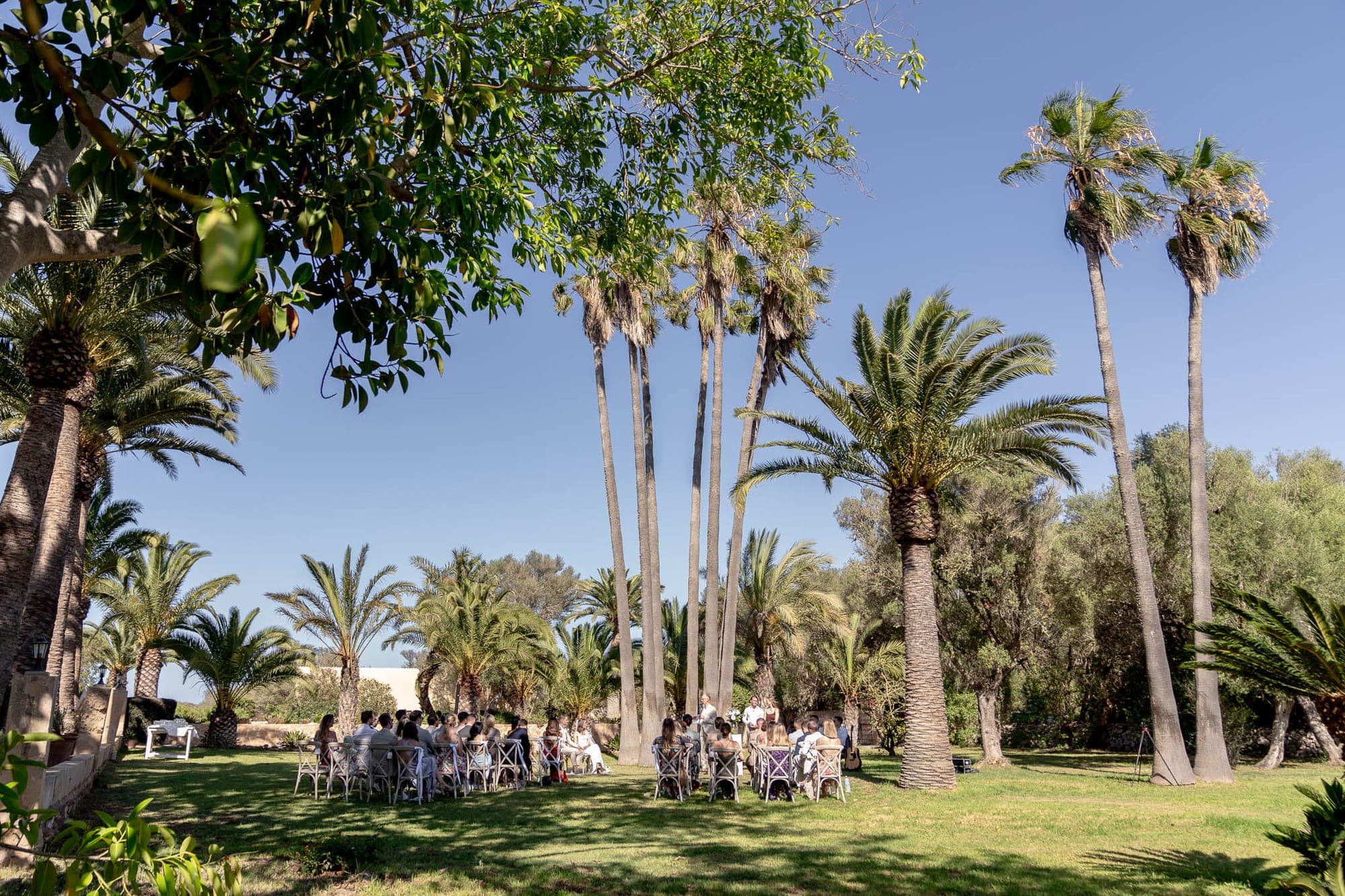 Outdoor wedding ceremony with guests seated on chairs under palm trees.
