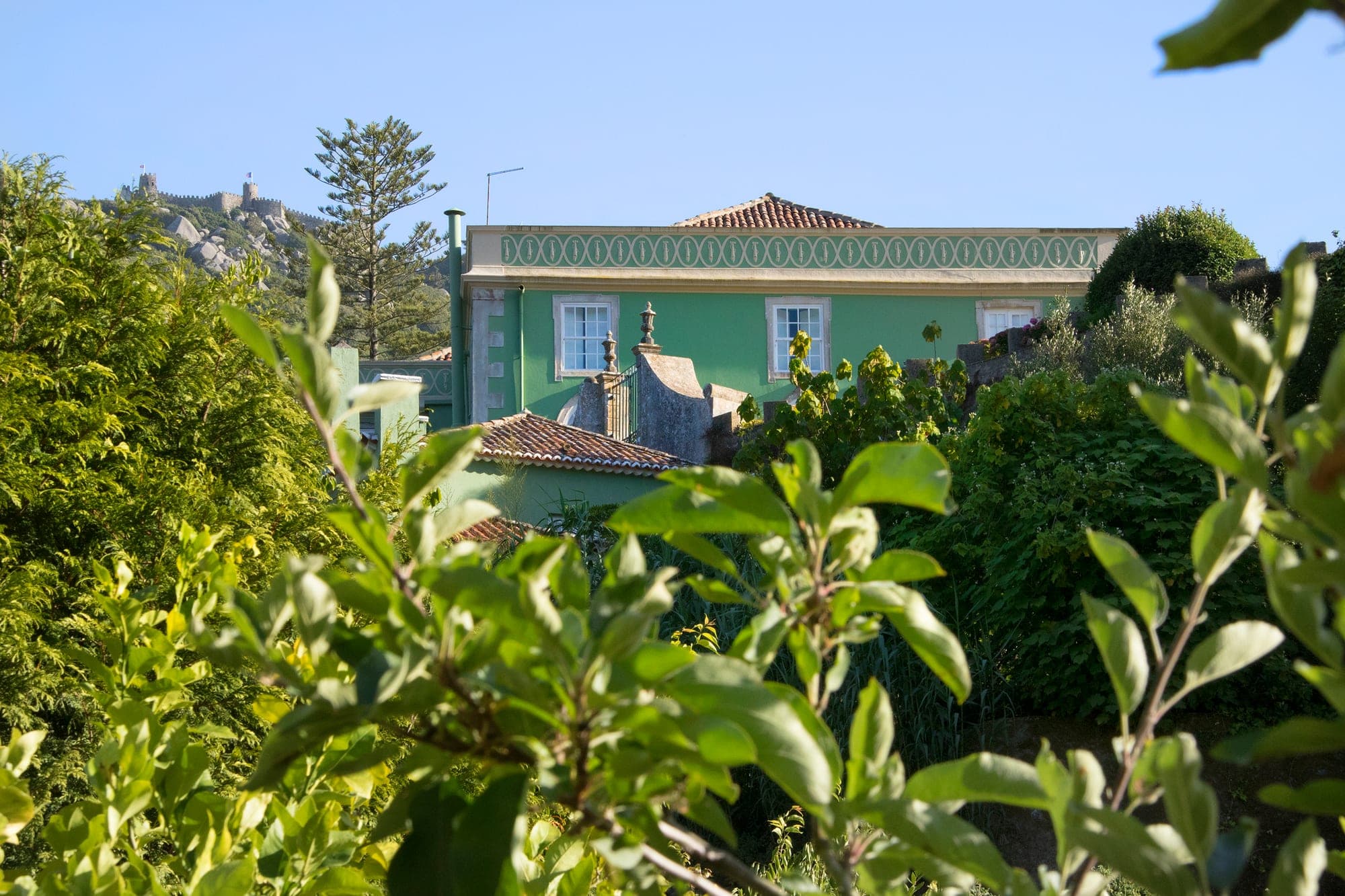 Green building with white windows seen through trees.