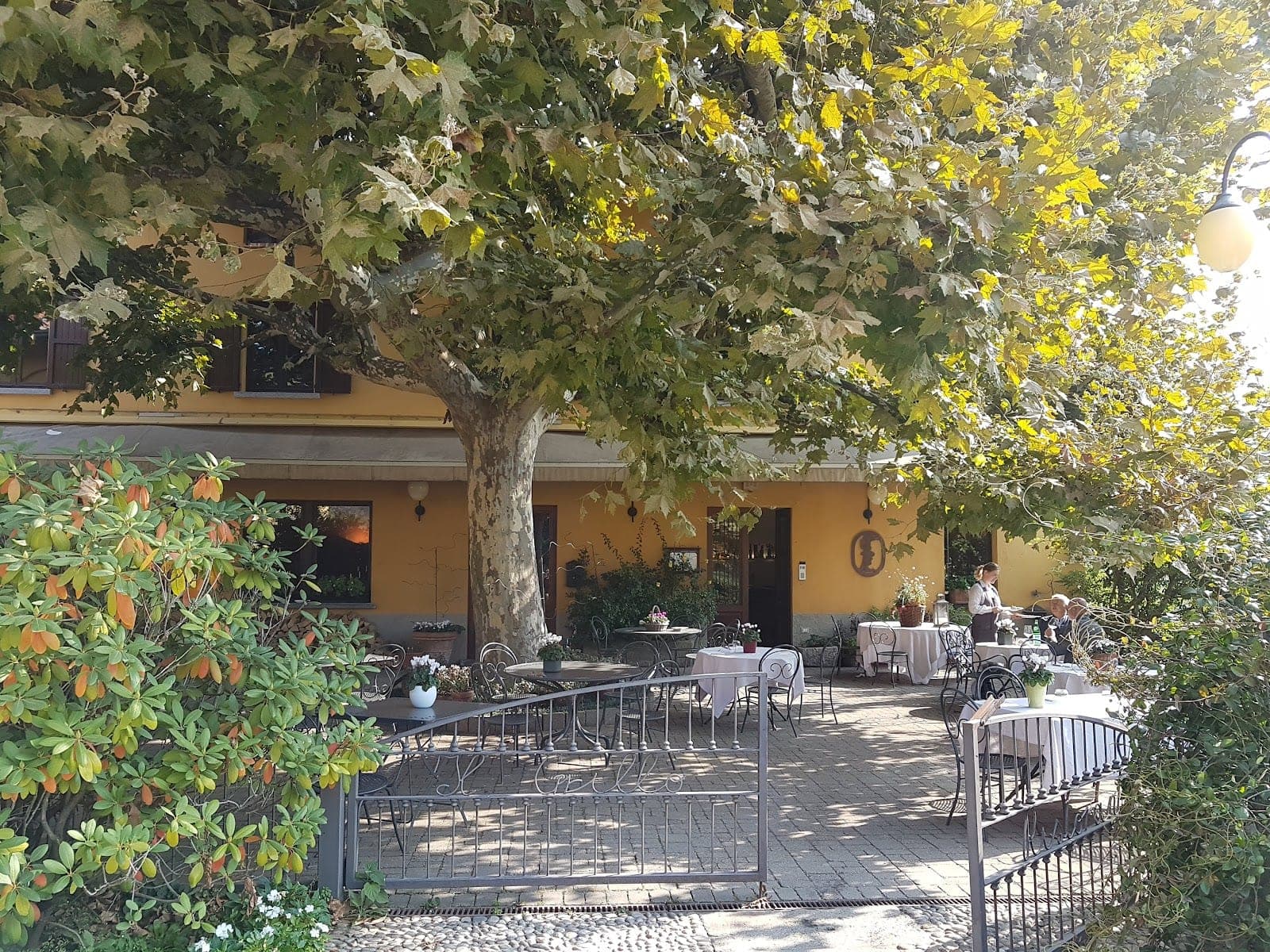 Outdoor dining tables set under a large tree at a venue.