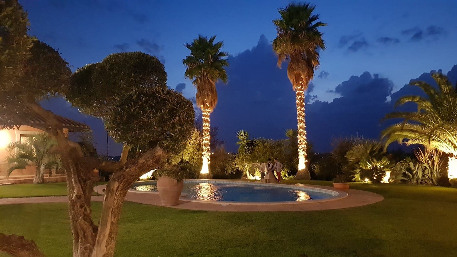Garden with palm trees and pool at dusk with a couple.