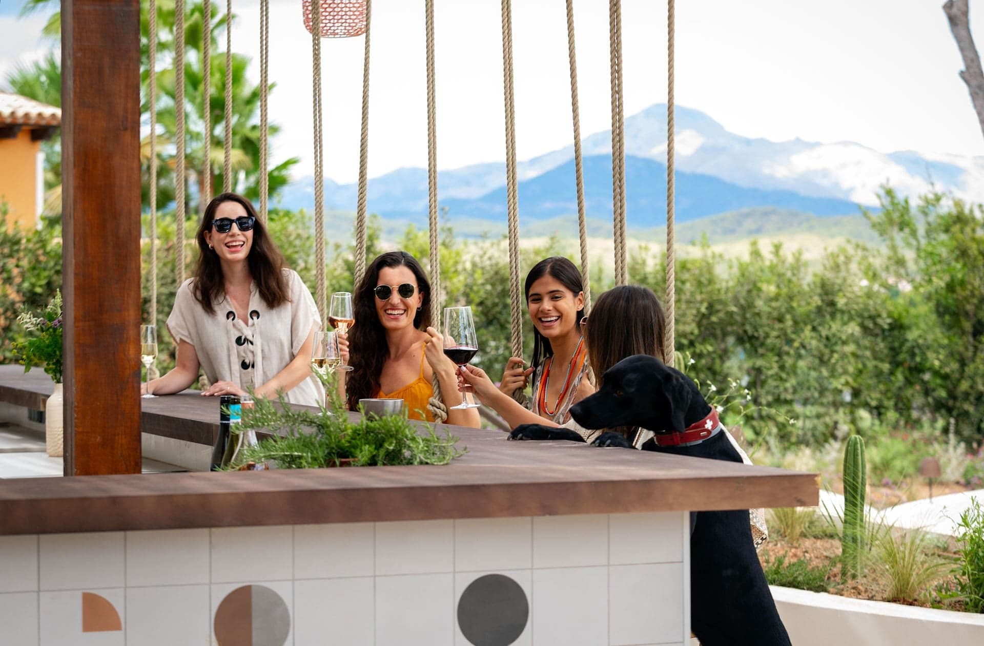 People and a dog at a bar with a mountain view.