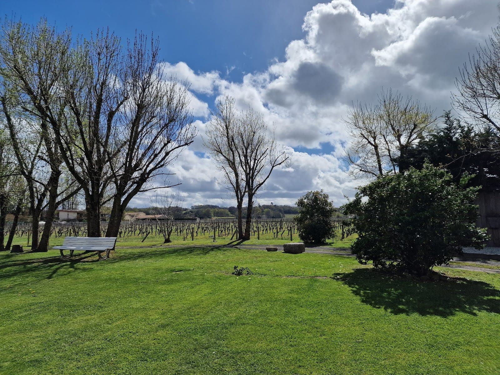 A white bench sits on a green lawn with bare trees and vineyards under a cloudy sky.