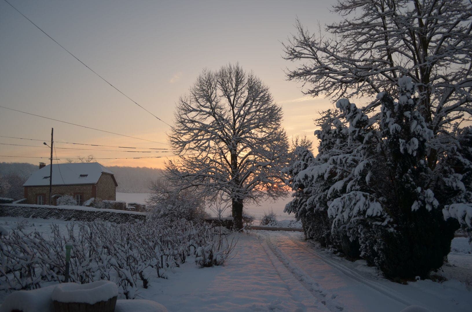 A snowy path leads towards a building with trees on either side at sunset.
