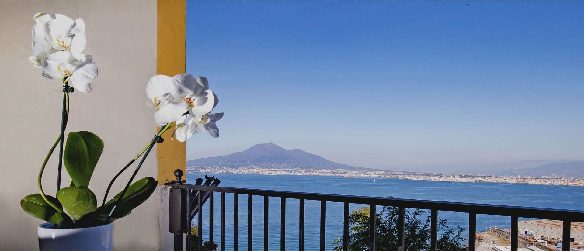 Balcony with orchids overlooking the sea and a distant city.