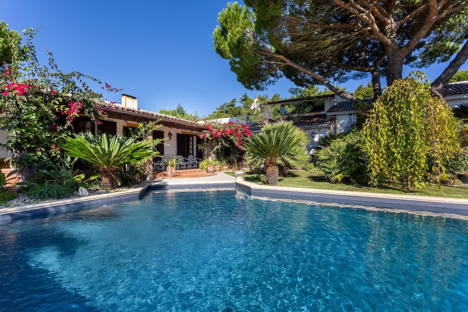 A swimming pool in front of a building with trees and flowers.