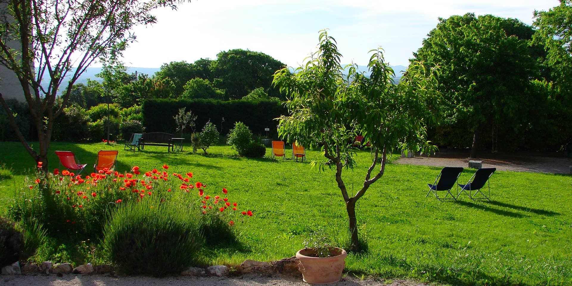 A garden with red poppies, green grass, trees, and chairs.
