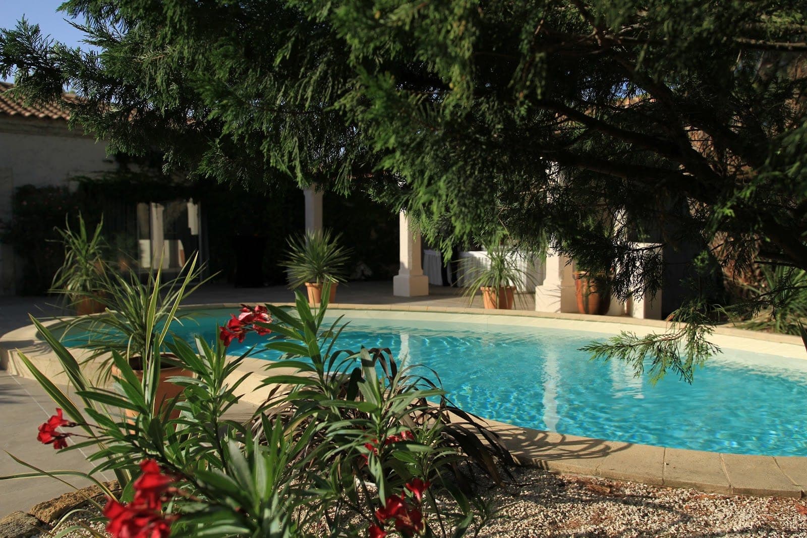 A swimming pool with blue water surrounded by plants and stone paving.