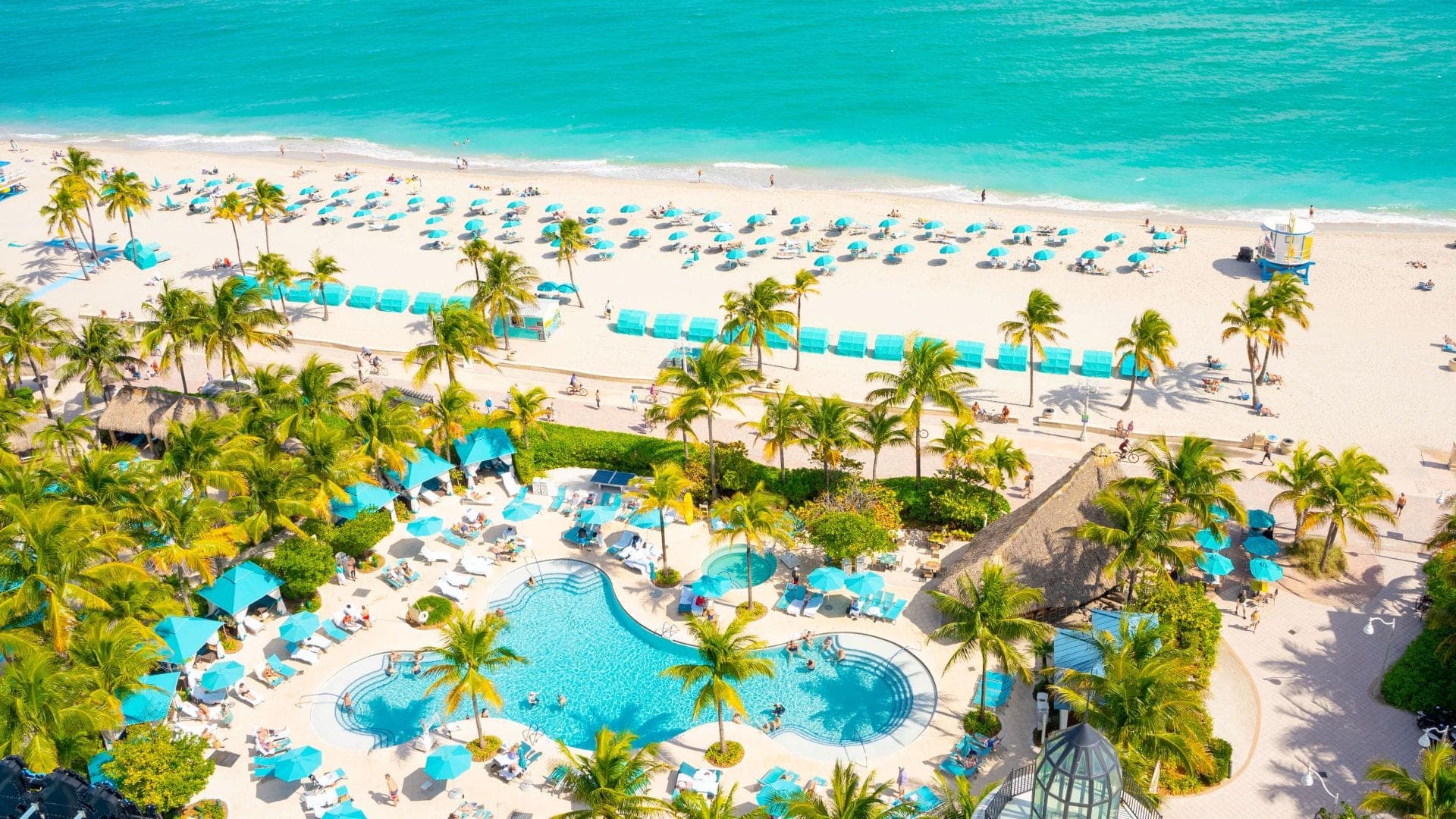 Aerial view of a resort pool and beach with palm trees and lounge chairs.
