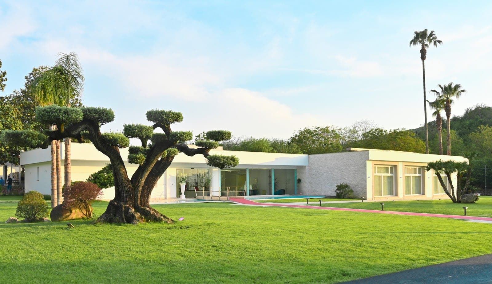 Exterior of a modern building with a large lawn and a bonsai tree.