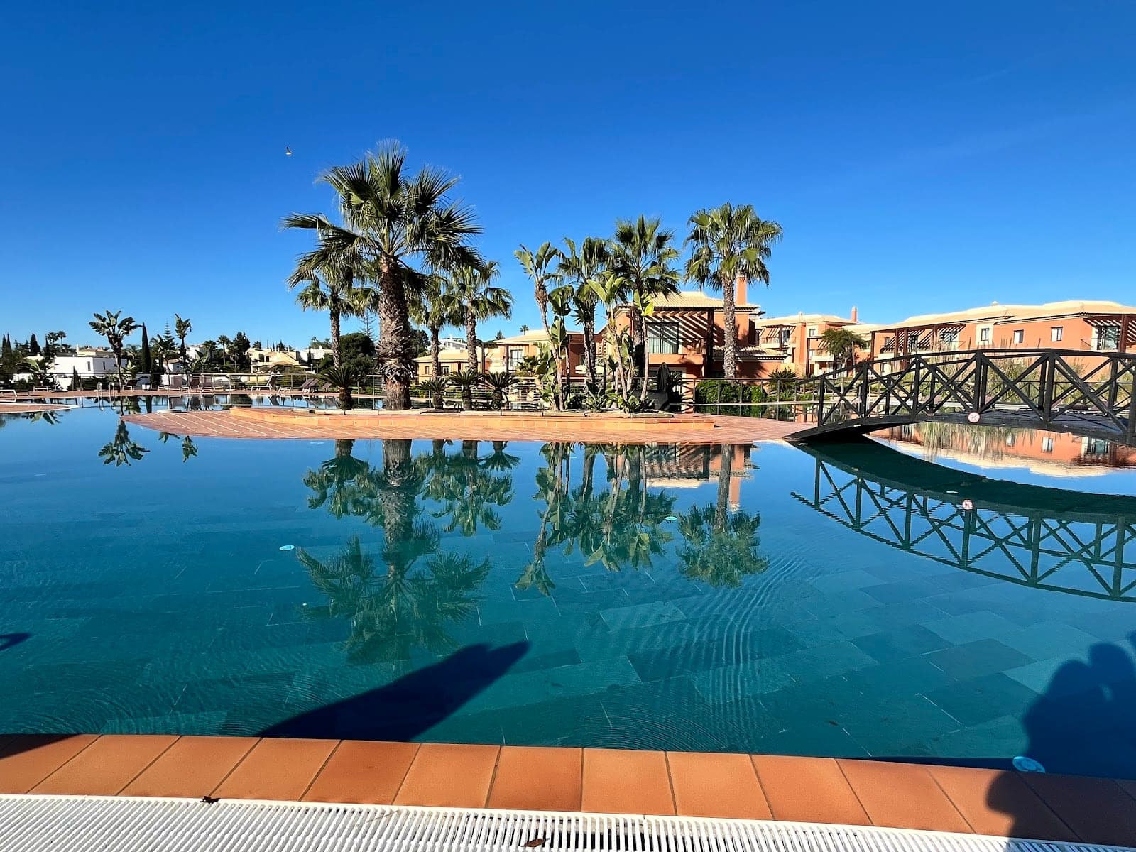 Swimming pool with palm trees and a bridge reflecting in the water.