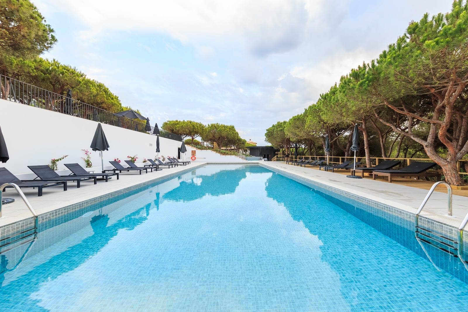A long swimming pool with blue water, surrounded by loungers and pine trees.