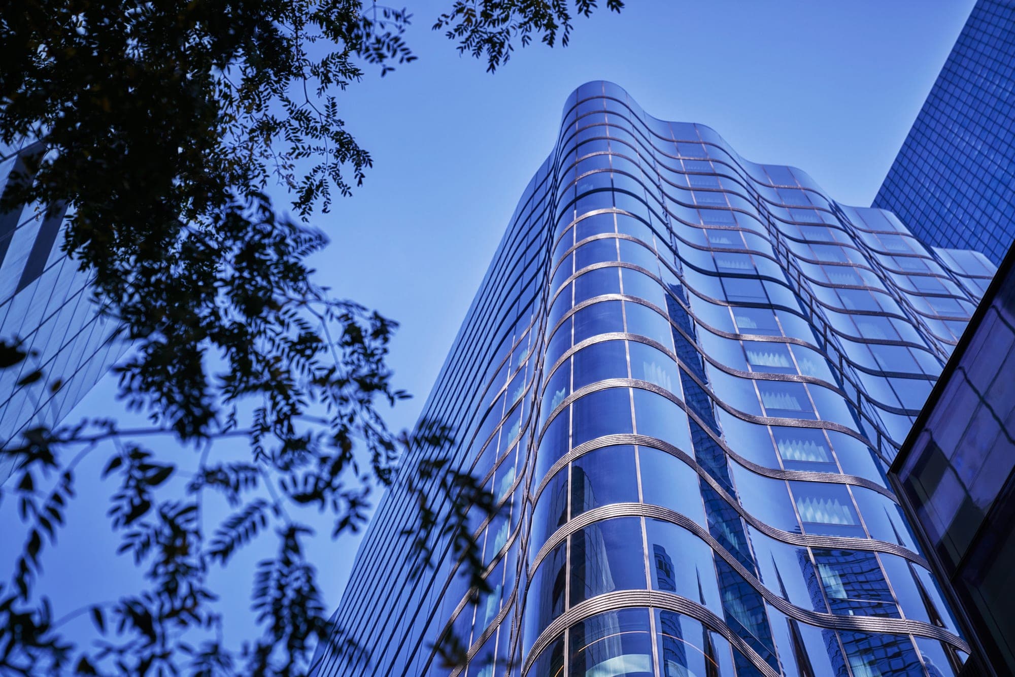Exterior of a modern glass building with a wavy facade, seen from below with tree branches in the foreground.