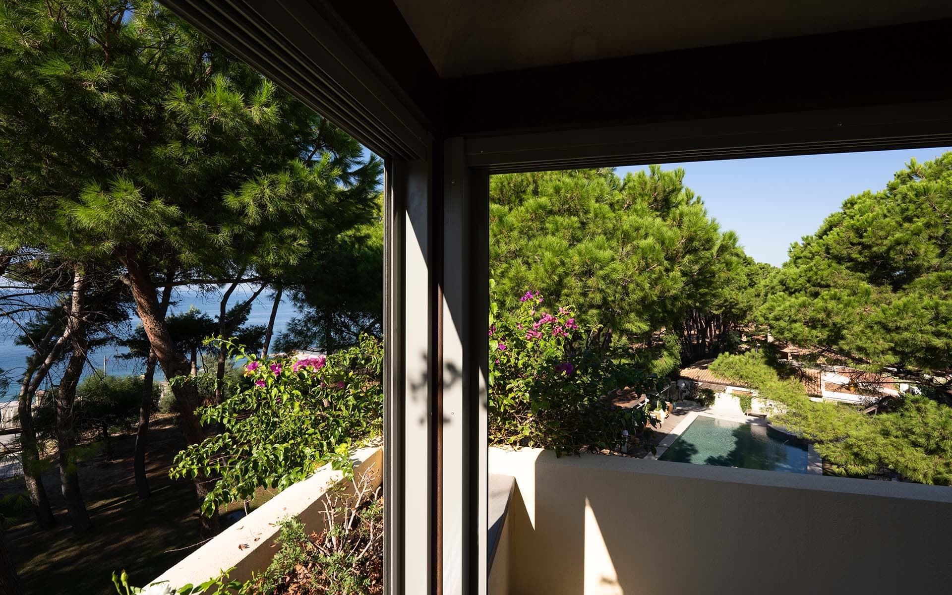 View from a balcony of pine trees, a swimming pool, and the sea.