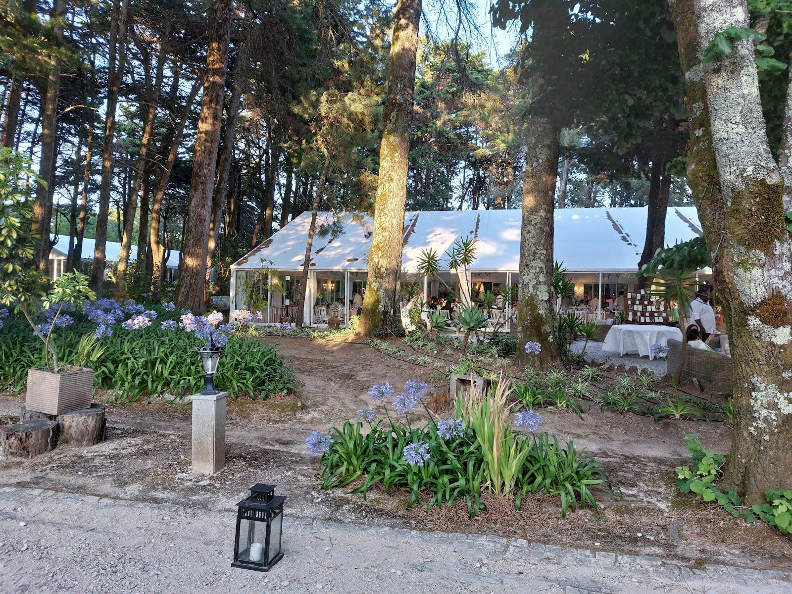 A marquee with glass walls is set up amongst trees, with flowers in the foreground.