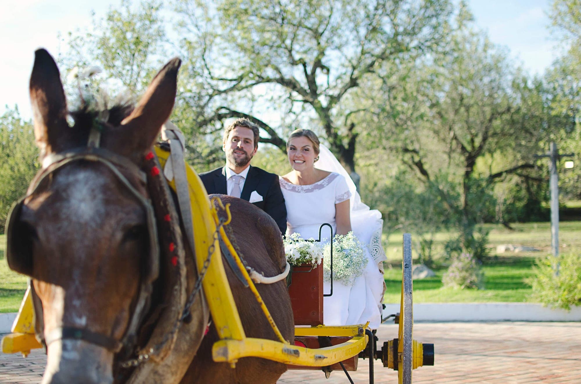 Bride and groom in a horse-drawn carriage on a sunny day.