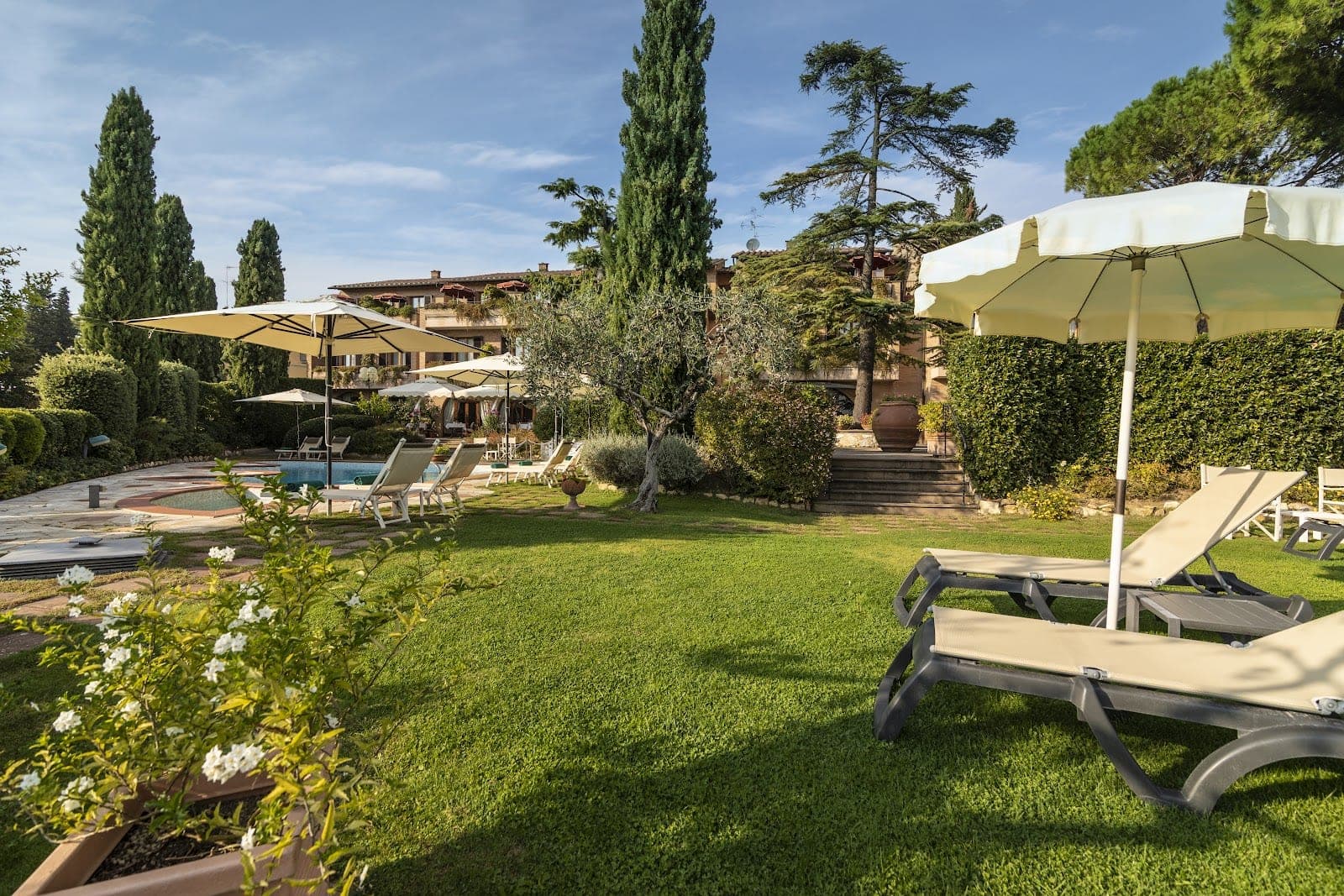 A sunny garden with lounge chairs, umbrellas, and a swimming pool.
