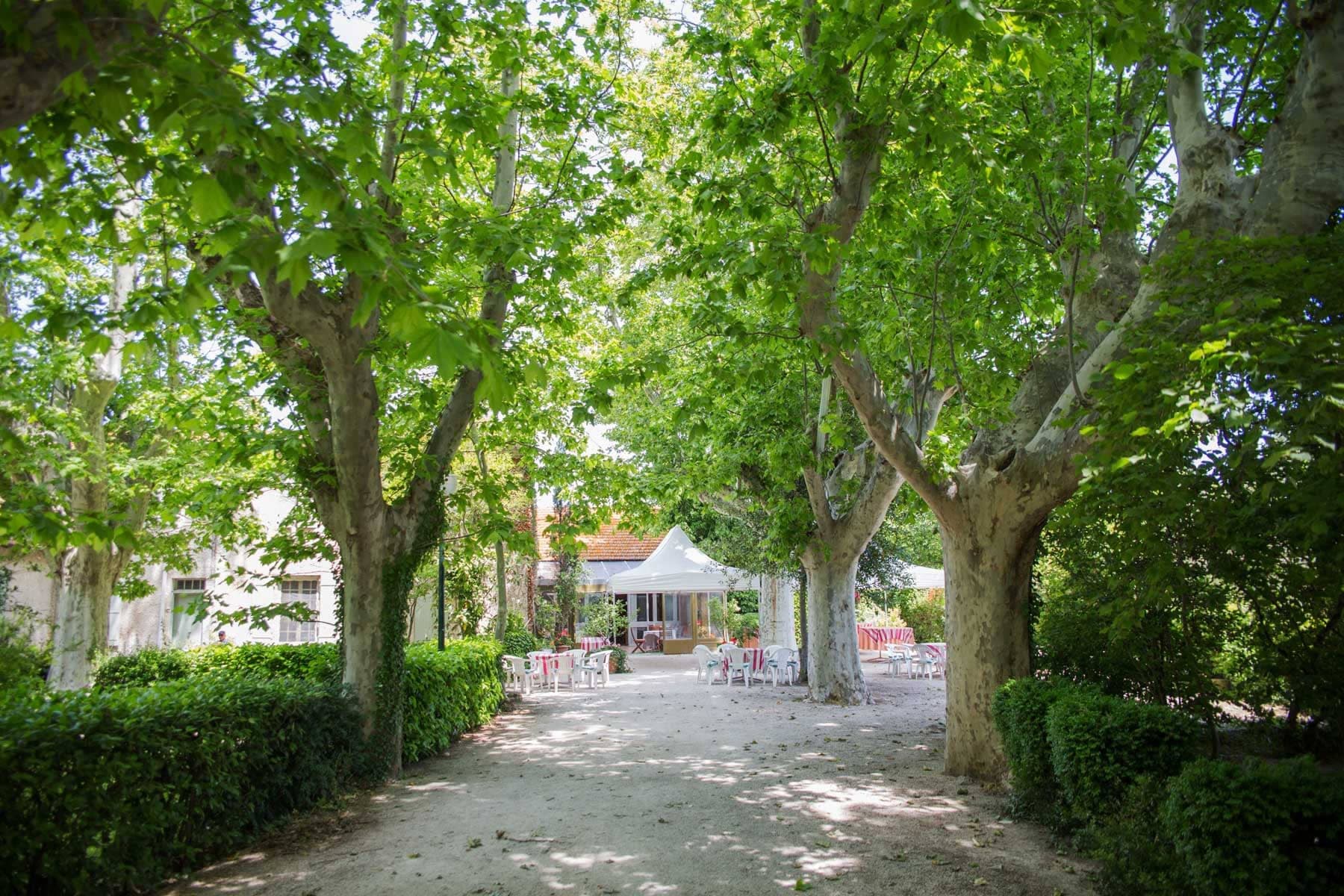 A tree-lined path leads to outdoor seating and a tent at a venue.