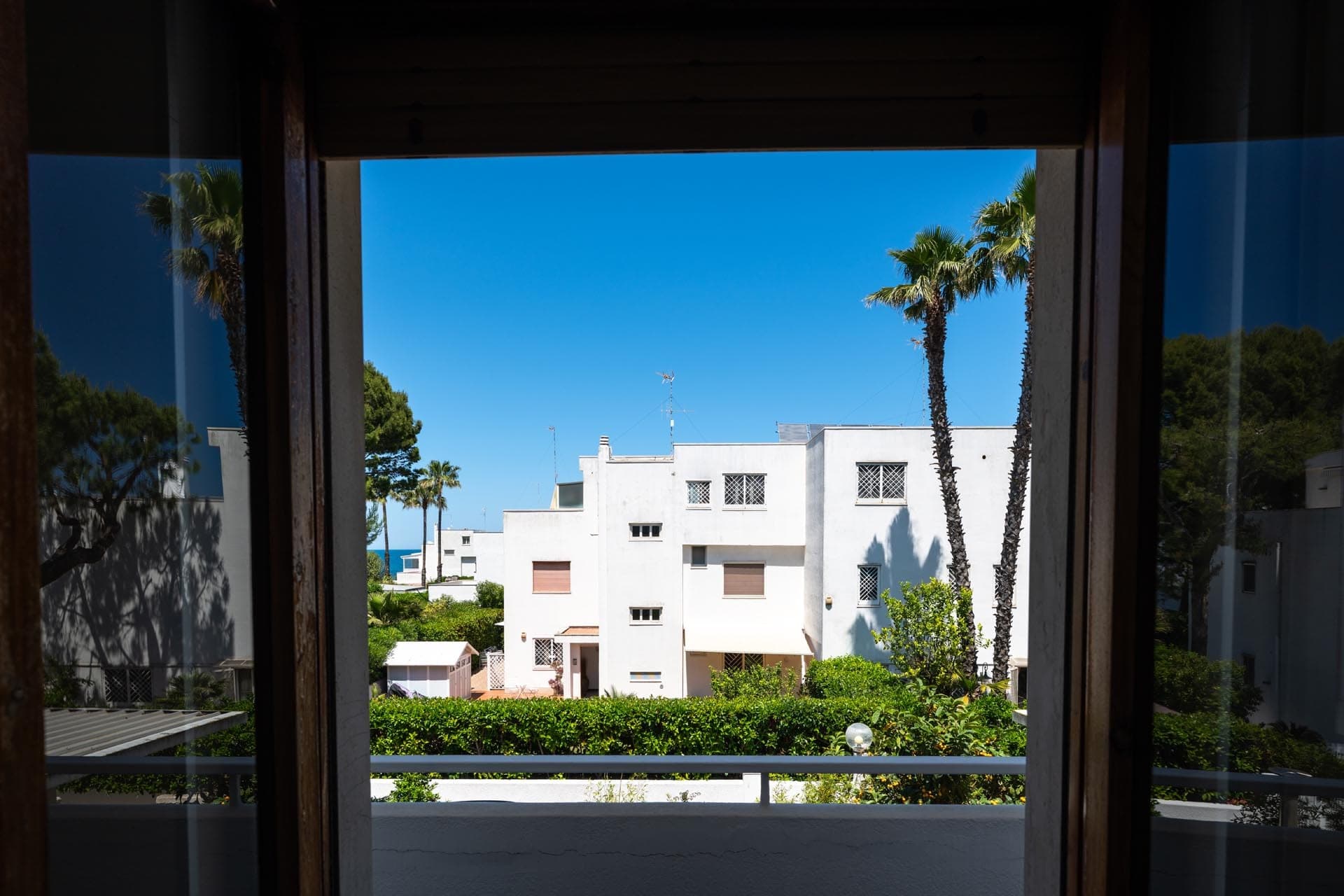 View of white buildings and palm trees from a balcony.