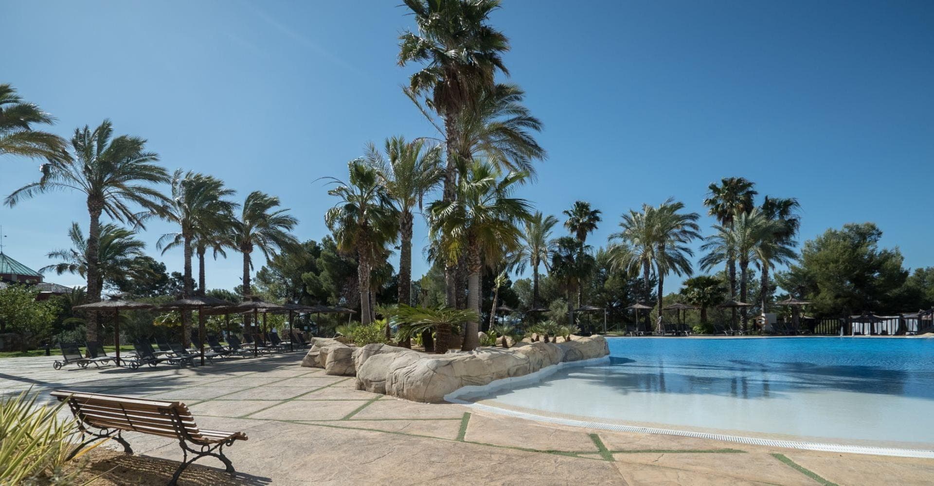Swimming pool area with palm trees and lounge chairs under a clear blue sky.