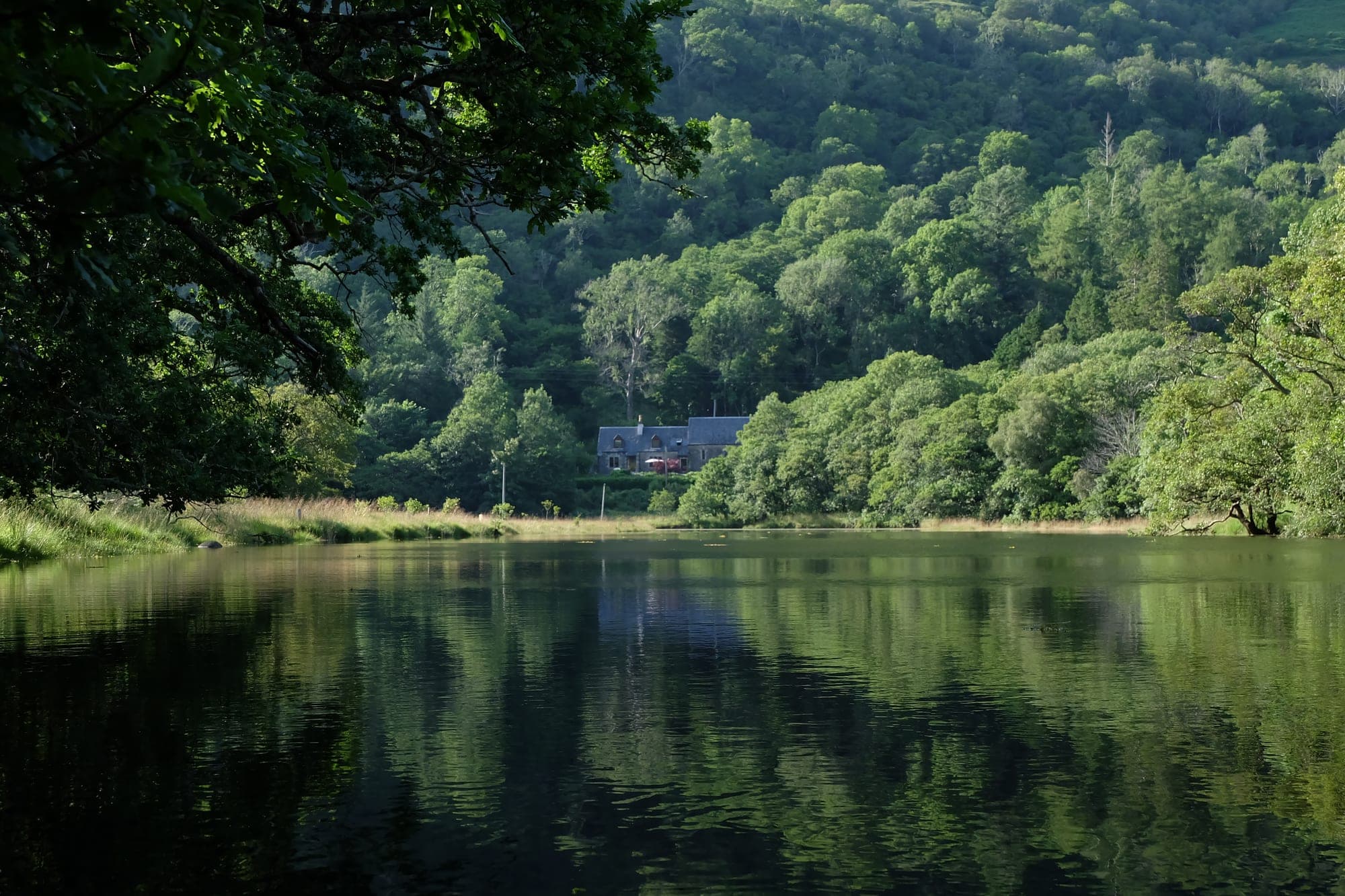 A building is reflected in a lake surrounded by trees.