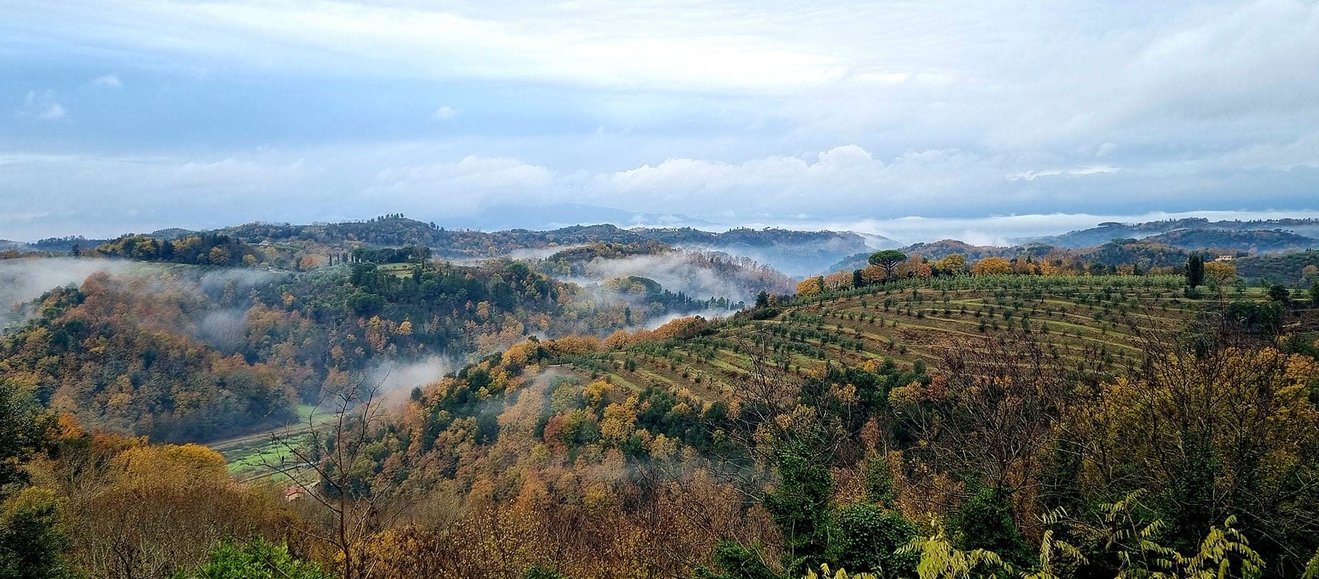 Misty Tuscan landscape with rolling hills and trees in autumn.